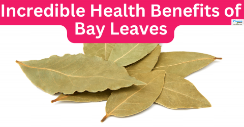 Incredible Health Benefits of Bay Leaves